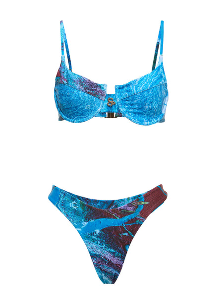 Arctic Paradise Two Piece Two Piece Canvas Transfer Bikini